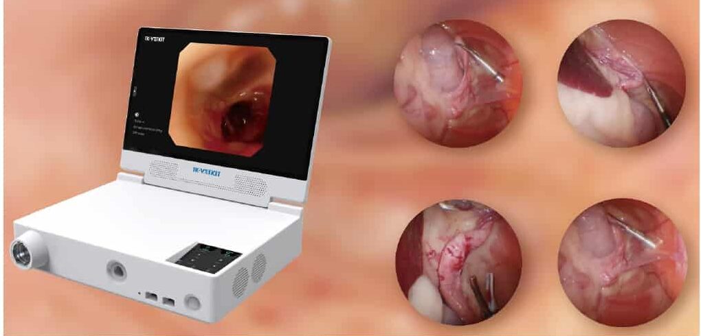 Endoskopy do weterynarii